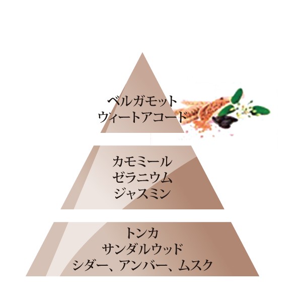 オイル　ゴールデンウィート