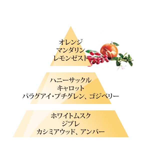 オイル　ゴジベリー