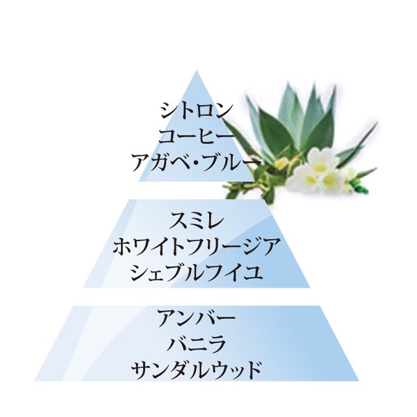 オイル　アガベスガーデン